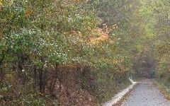 tunnelhilltrail-raining00.jpg