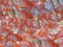 u-lots-of-fish-filets.jpg