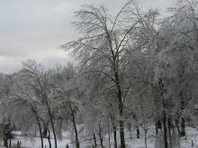 icestorm-lookingSE4.jpg