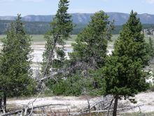 yellowstonegeyserarea6.jpg